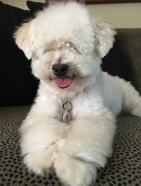 Entry image for Mamie. Clicking this image will show a larger photo