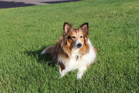 Entry image for Kiley J. Hackett. Clicking this image will show a larger photo