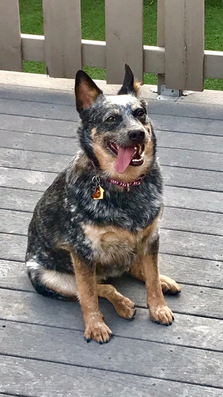 Entry image for Summer. Clicking this image will show a larger photo