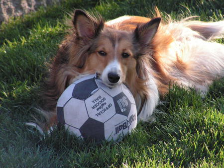 Entry image for Kiley J Hackett. Clicking this image will show a larger photo