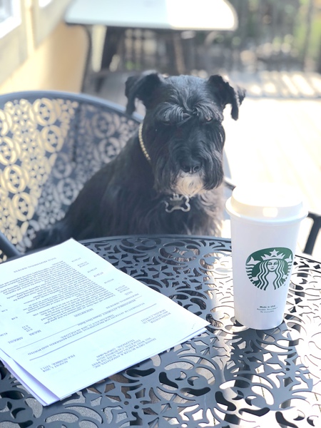 Entry image for Vader Foster. Clicking this image will show a larger photo