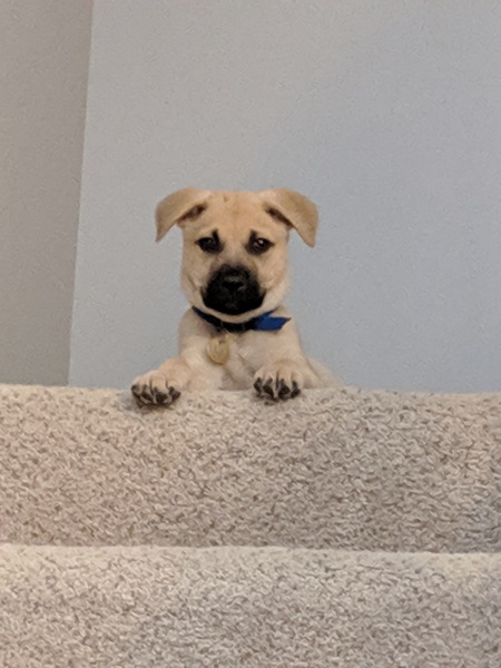 Entry image for Cooper Mohre. Clicking this image will show a larger photo