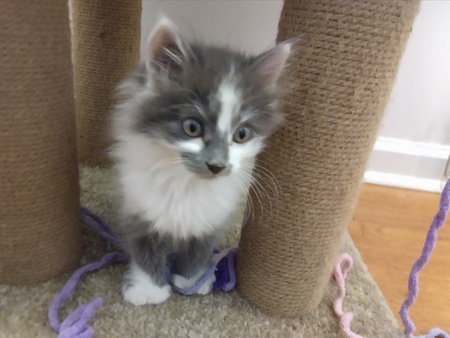 Entry image for Frieda. Clicking this image will show a larger photo