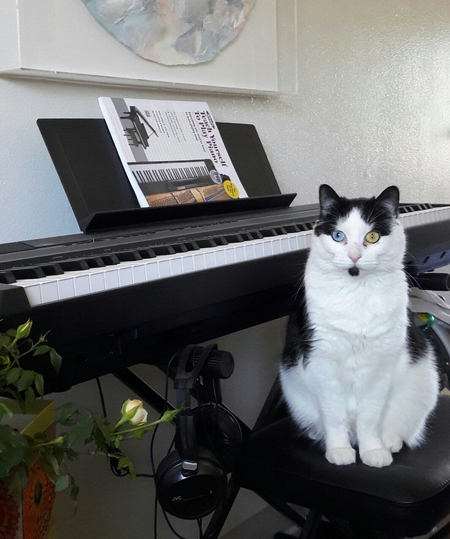 Entry image for Stella. Clicking this image will show a larger photo