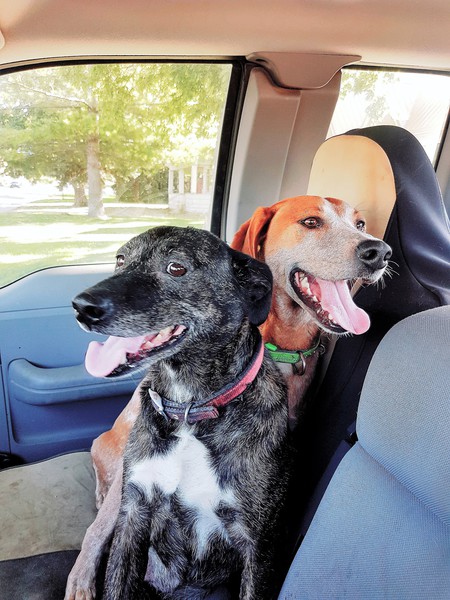 Entry image for Emma & Grimm. Clicking this image will show a larger photo