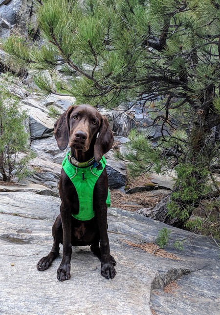 Entry image for Klaus Ruger Mohr. Clicking this image will show a larger photo