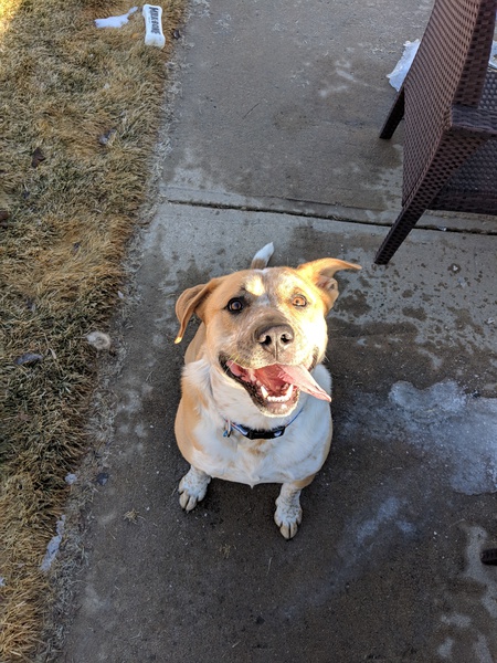 Entry image for Toast. Clicking this image will show a larger photo