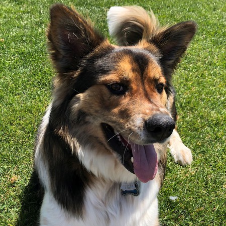 Entry image for Estes. Clicking this image will show a larger photo