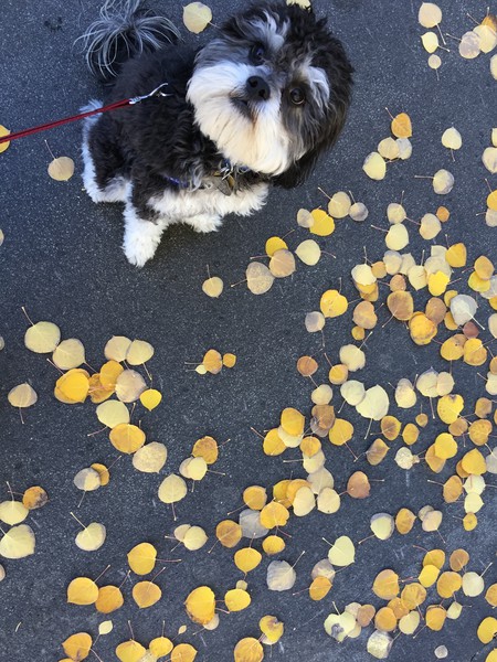 Entry image for Peyton. Clicking this image will show a larger photo