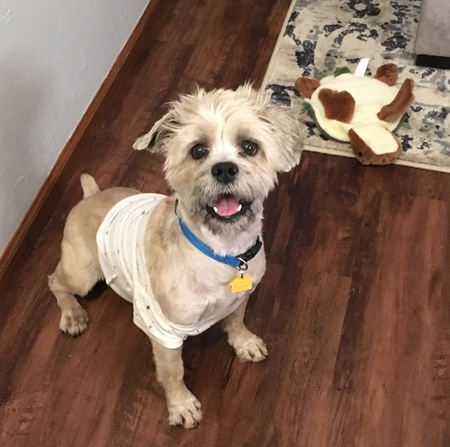 Entry image for Augustus “Auggie” McRae. Clicking this image will show a larger photo