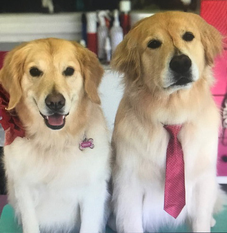 Entry image for KC and Callie Knull. Clicking this image will show a larger photo