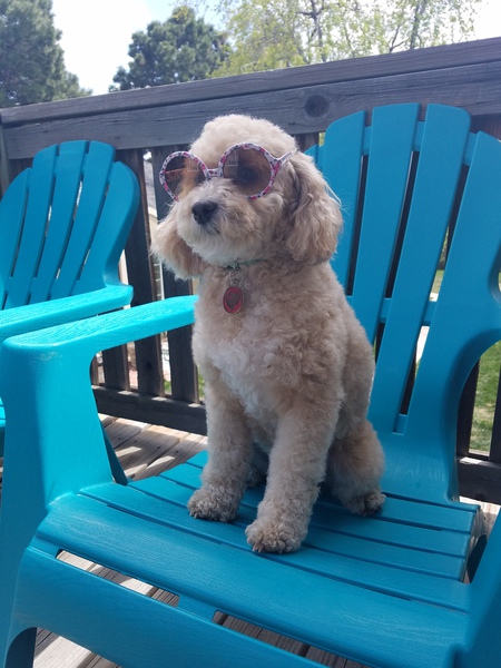 Entry image for Athena. Clicking this image will show a larger photo