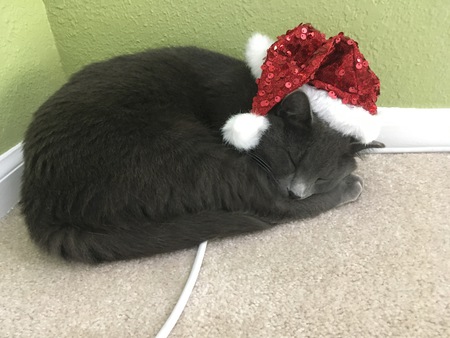 Entry image for Tyler. Clicking this image will show a larger photo