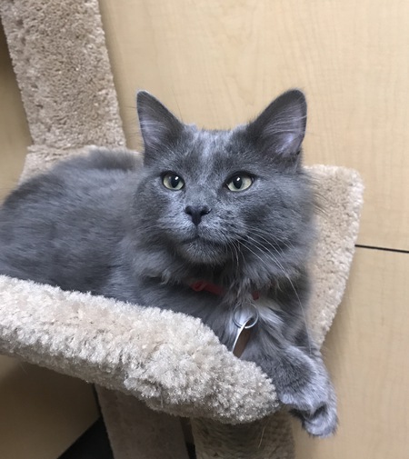 Entry image for Junebug. Clicking this image will show a larger photo