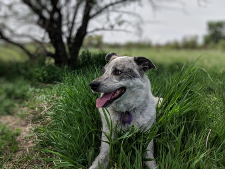 Entry image for Emma. Clicking this image will show a larger photo