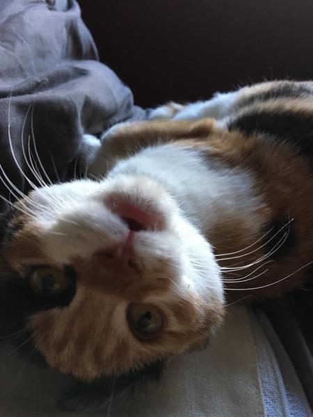 Entry image for Yaki M. Soba. Clicking this image will show a larger photo