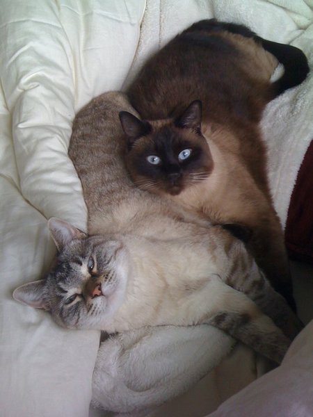 Entry image for Samantha and Abigail. Clicking this image will show a larger photo