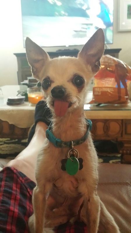 Entry image for Larry King. Clicking this image will show a larger photo