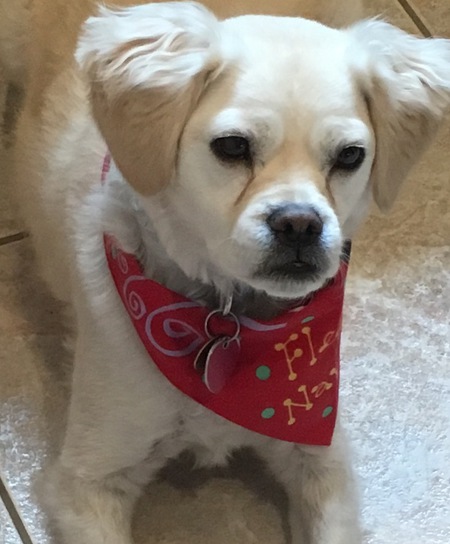 Entry image for Arnie (Arnold Palmer). Clicking this image will show a larger photo