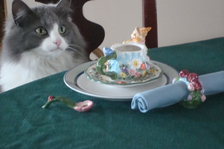 Entry image for Truffles. Clicking this image will show a larger photo