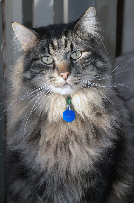 Entry image for Twilight. Clicking this image will show a larger photo