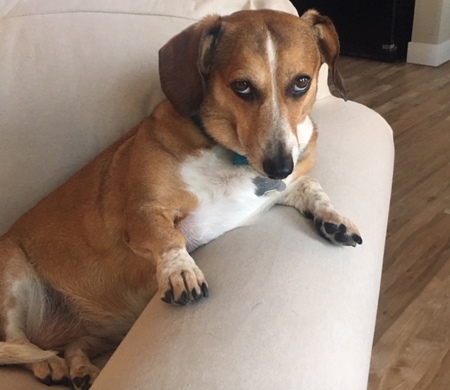 Entry image for Molly. Clicking this image will show a larger photo