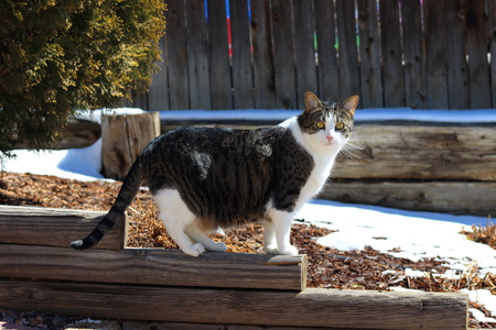 Entry image for Gillian. Clicking this image will show a larger photo