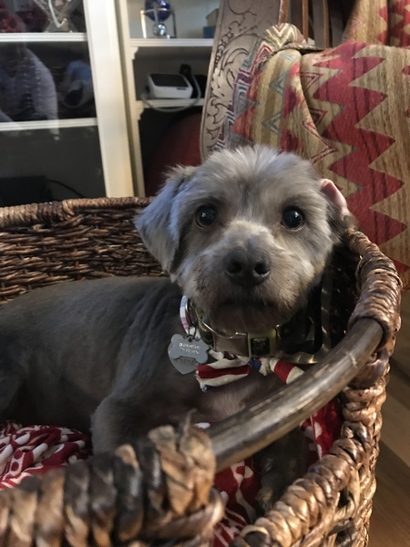 Entry image for Bill. Clicking this image will show a larger photo