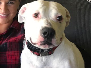 Entry image for Archie. Clicking this image will show a larger photo