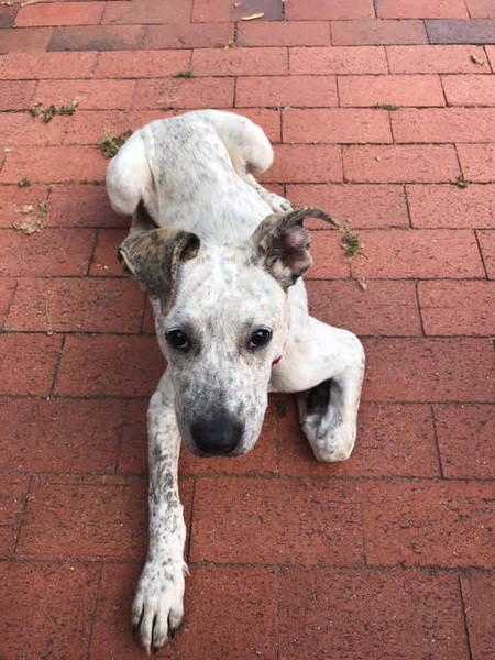 Entry image for Mya. Clicking this image will show a larger photo