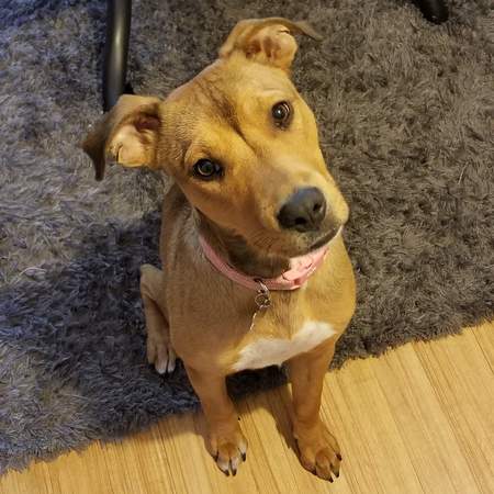 Entry image for Alaska. Clicking this image will show a larger photo