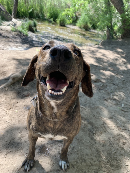 Entry image for Barb. Clicking this image will show a larger photo