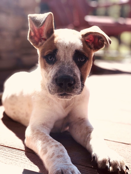 Entry image for Ray. Clicking this image will show a larger photo