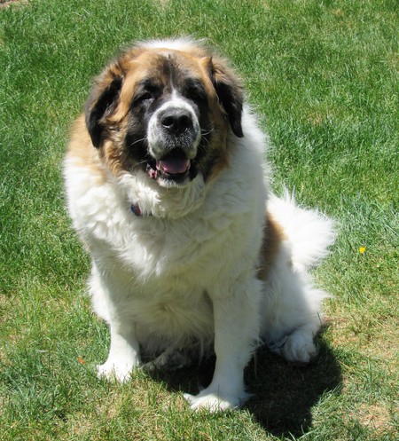 Entry image for Lucie. Clicking this image will show a larger photo