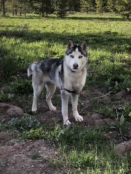 Entry image for Bryce . Clicking this image will show a larger photo