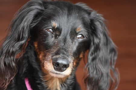 Entry image for Marty. Clicking this image will show a larger photo