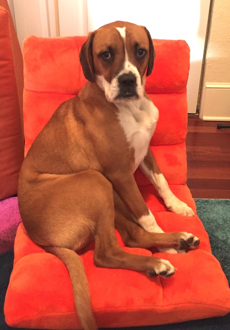 Entry image for Canggu ("Changoo"). Clicking this image will show a larger photo