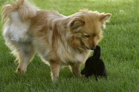 Entry image for Kayla. Clicking this image will show a larger photo