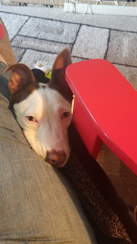 Entry image for GRADY . Clicking this image will show a larger photo