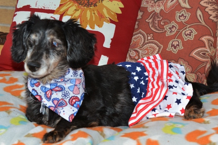 Entry image for Fresca. Clicking this image will show a larger photo