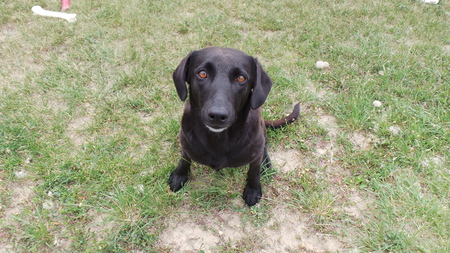 Entry image for Maui. Clicking this image will show a larger photo