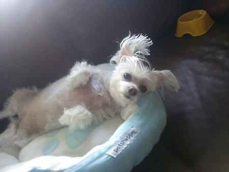 Entry image for Sophie. Clicking this image will show a larger photo