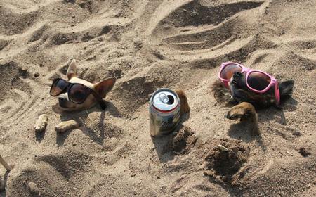 Entry image for Jeter Ron Penguin Von Winkle & Guapo. Clicking this image will show a larger photo