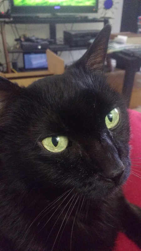 Entry image for Mugen. Clicking this image will show a larger photo