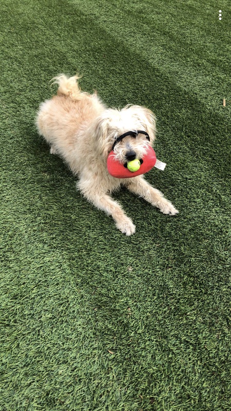 Entry image for Kevin. Clicking this image will show a larger photo