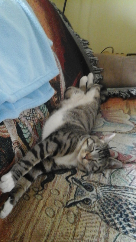 Entry image for Jupiter  . Clicking this image will show a larger photo