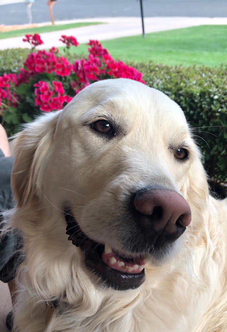 Entry image for Emma. Clicking this image will show a larger photo