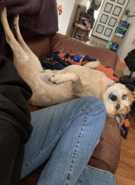 Entry image for Champ. Clicking this image will show a larger photo