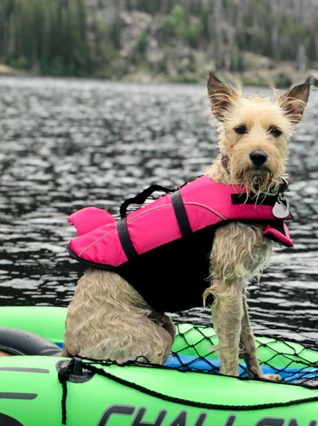 Entry image for Patrick Henry. Clicking this image will show a larger photo