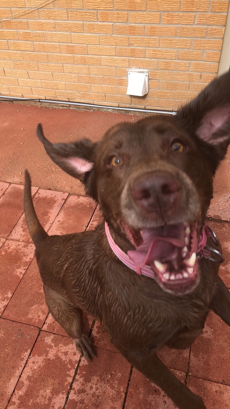 Entry image for Midna Shanna Marie. Clicking this image will show a larger photo